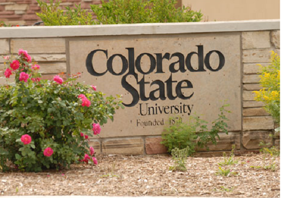 Weber Named Director Of Athletics At CSU - Vimarsana News