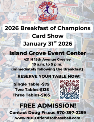 Friends of Baseball - Website Flyer